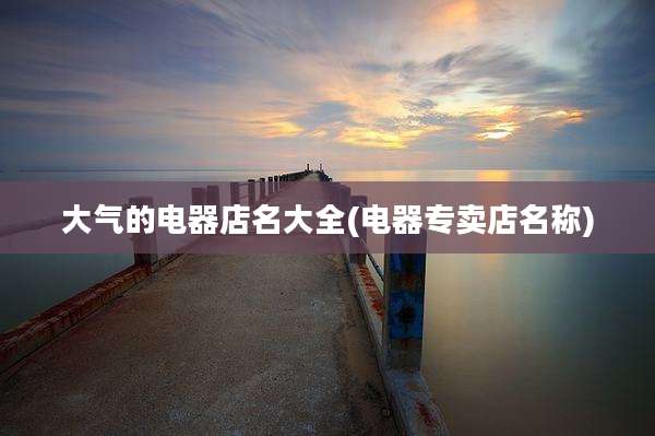大气的电器店名大全(电器专卖店名称)