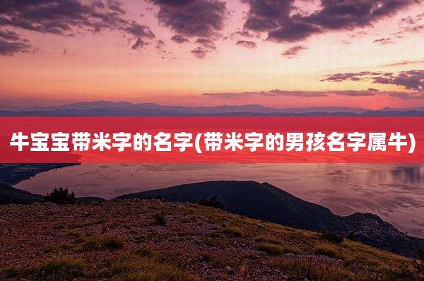 牛宝宝带米字的名字(带米字的男孩名字属牛)