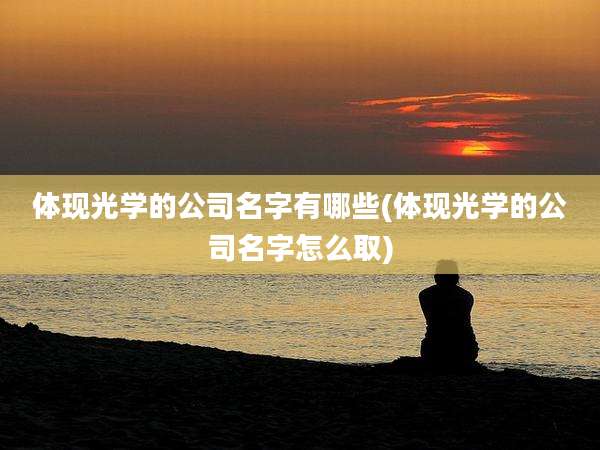 体现光学的公司名字有哪些(体现光学的公司名字怎么取)