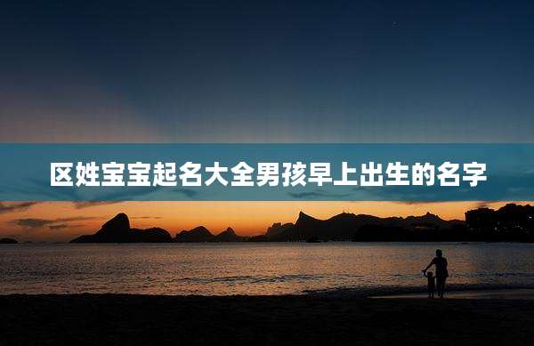 区姓宝宝起名大全男孩早上出生的名字