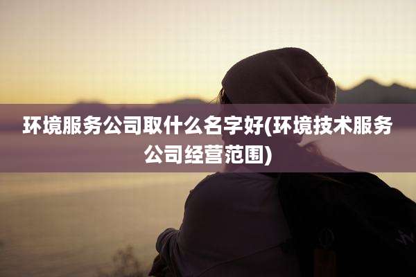 环境服务公司取什么名字好(环境技术服务公司经营范围)