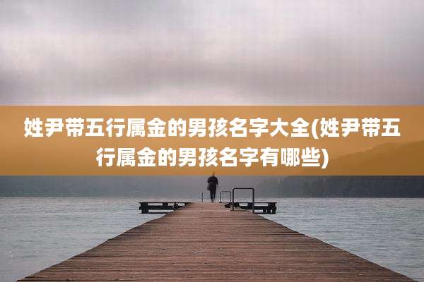 姓尹带五行属金的男孩名字大全(姓尹带五行属金的男孩名字有哪些)