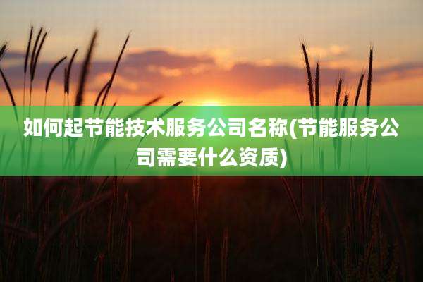 如何起节能技术服务公司名称(节能服务公司需要什么资质)