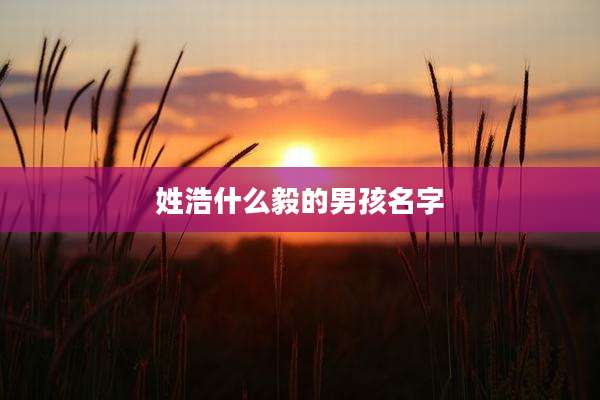 姓浩什么毅的男孩名字