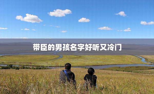 带臣的男孩名字好听又冷门