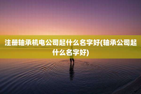 注册轴承机电公司起什么名字好(轴承公司起什么名字好)