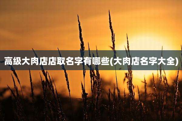 高级大肉店店取名字有哪些(大肉店名字大全)