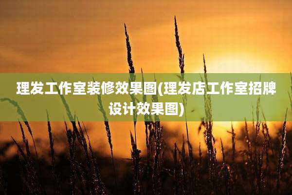 理发工作室装修效果图(理发店工作室招牌设计效果图)