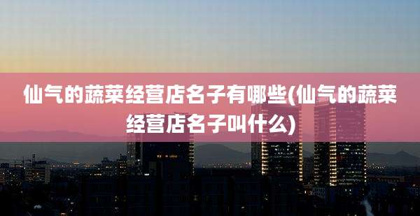 仙气的蔬菜经营店名子有哪些(仙气的蔬菜经营店名子叫什么)