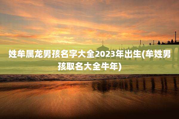 姓牟属龙男孩名字大全2023年出生(牟姓男孩取名大全牛年)