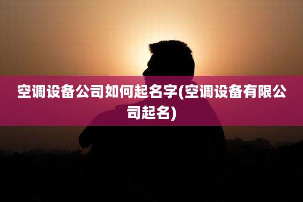 空调设备公司如何起名字(空调设备有限公司起名)