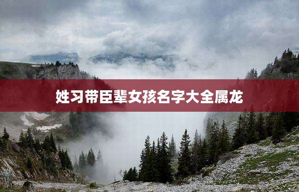 姓习带臣辈女孩名字大全属龙