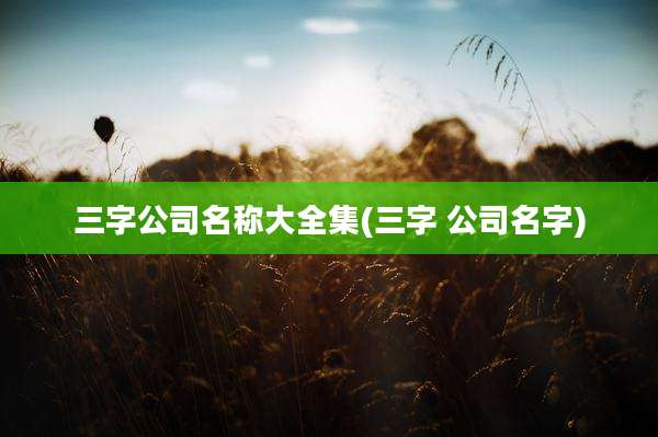 三字公司名称大全集(三字 公司名字)