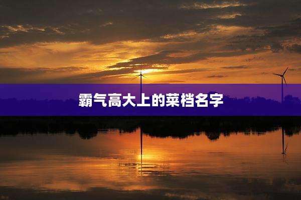 霸气高大上的菜档名字