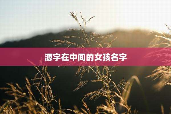 源字在中间的女孩名字