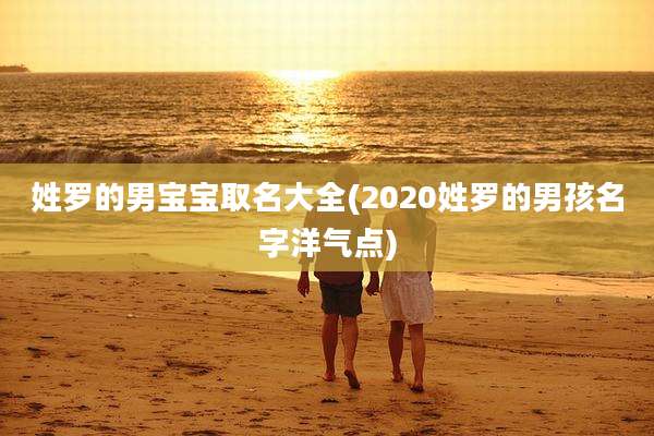 姓罗的男宝宝取名大全(2020姓罗的男孩名字洋气点)