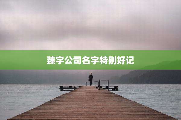 臻字公司名字特别好记