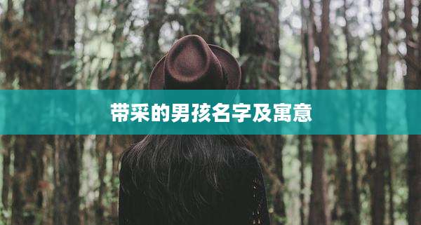 带采的男孩名字及寓意