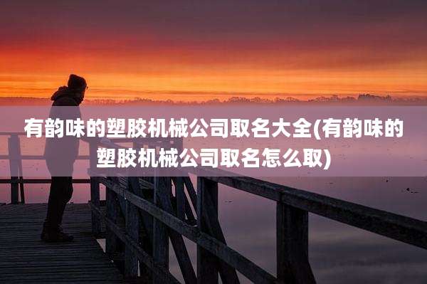 有韵味的塑胶机械公司取名大全(有韵味的塑胶机械公司取名怎么取)