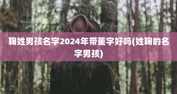 鞠姓男孩名字2024年带董字好吗(姓鞠的名字男孩)