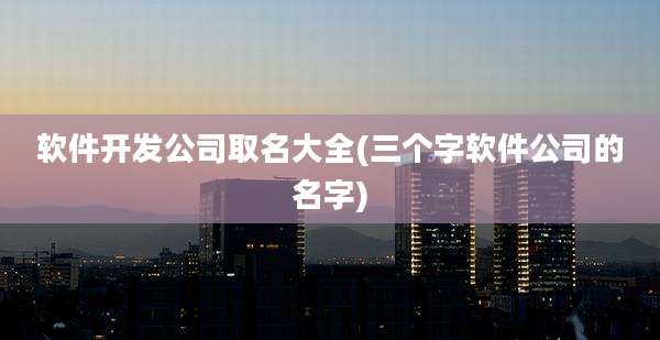 软件开发公司取名大全(三个字软件公司的名字)