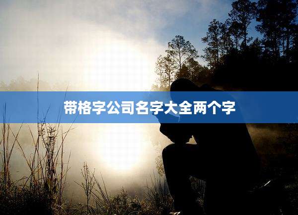 带格字公司名字大全两个字
