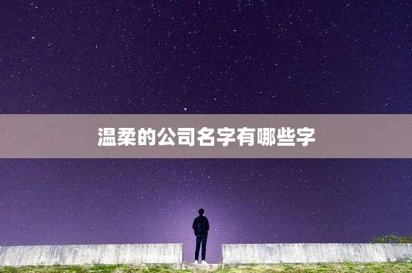 温柔的公司名字有哪些字
