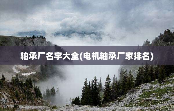 轴承厂名字大全(电机轴承厂家排名)