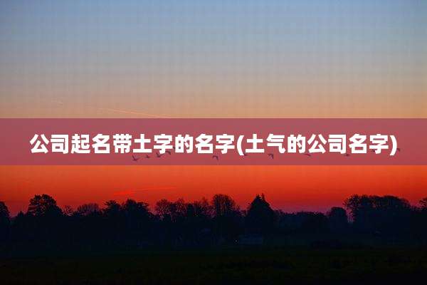 公司起名带土字的名字(土气的公司名字)