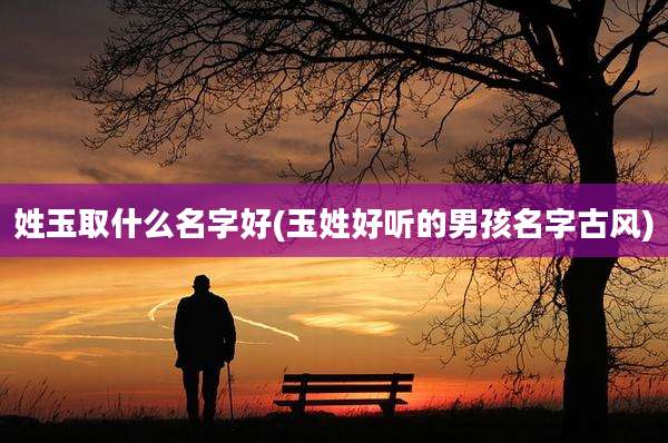 姓玉取什么名字好(玉姓好听的男孩名字古风)