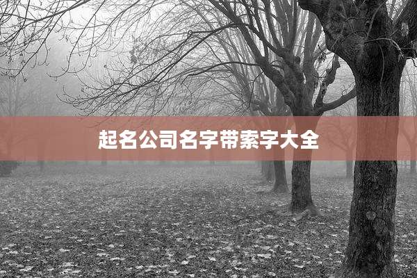 起名公司名字带索字大全