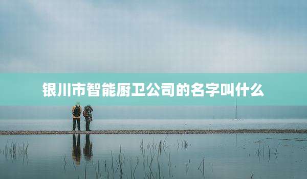 银川市智能厨卫公司的名字叫什么