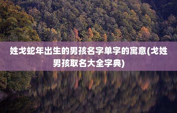 姓戈蛇年出生的男孩名字单字的寓意(戈姓男孩取名大全字典)