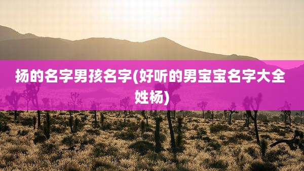 扬的名字男孩名字(好听的男宝宝名字大全 姓杨)