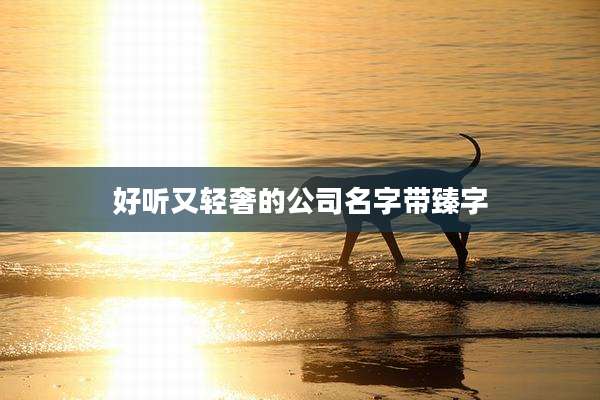 好听又轻奢的公司名字带臻字