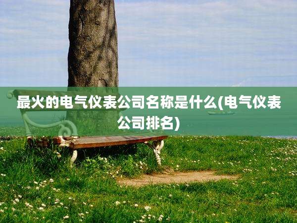 最火的电气仪表公司名称是什么(电气仪表公司排名)