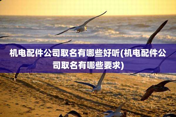 机电配件公司取名有哪些好听(机电配件公司取名有哪些要求)