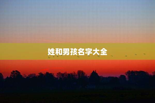姓和男孩名字大全