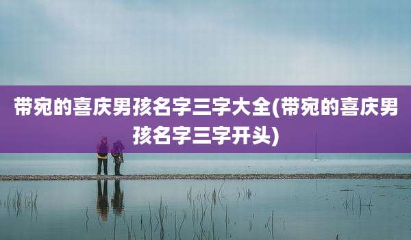 带宛的喜庆男孩名字三字大全(带宛的喜庆男孩名字三字开头)