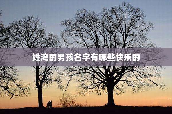姓湾的男孩名字有哪些快乐的