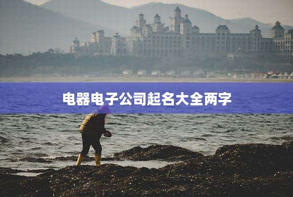 电器电子公司起名大全两字