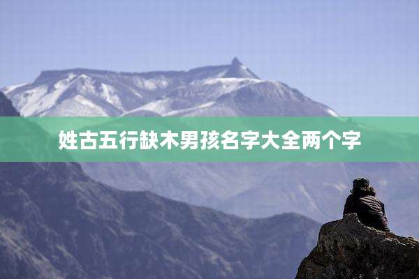 姓古五行缺木男孩名字大全两个字