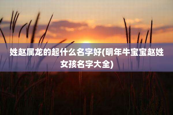 姓赵属龙的起什么名字好(明年牛宝宝赵姓女孩名字大全)