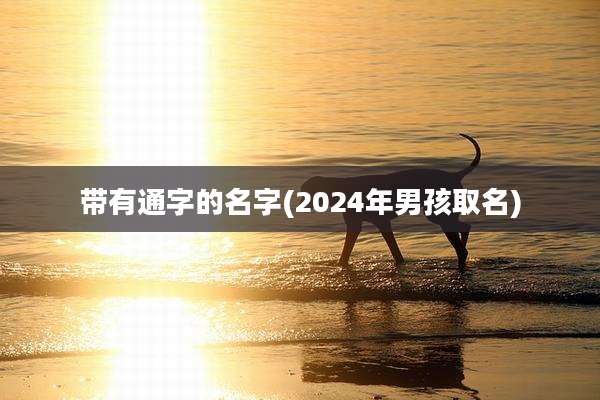 带有通字的名字(2024年男孩取名)
