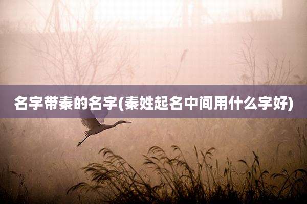 名字带秦的名字(秦姓起名中间用什么字好)