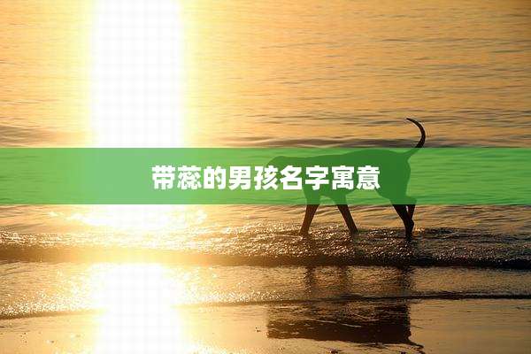 带蕊的男孩名字寓意