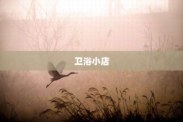 卫浴小店