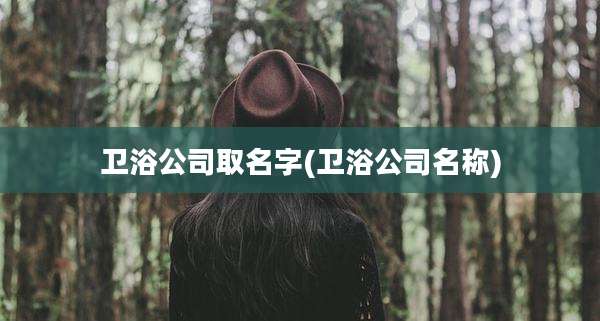 卫浴公司取名字(卫浴公司名称)