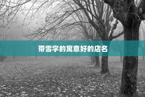 带雪字的寓意好的店名