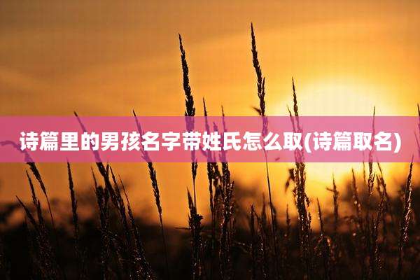 诗篇里的男孩名字带姓氏怎么取(诗篇取名)